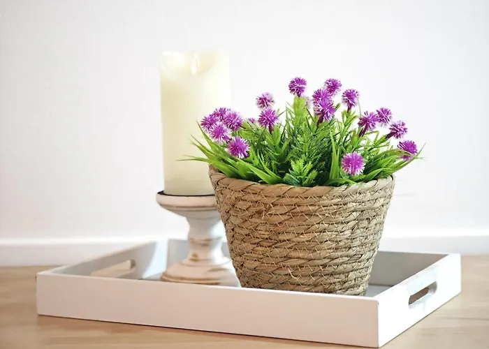 Del Mercado Little *