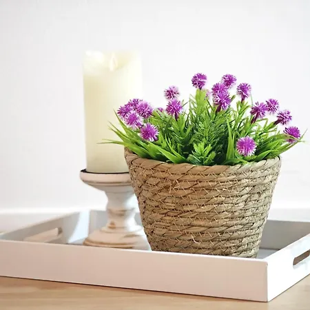 Del Mercado Little *